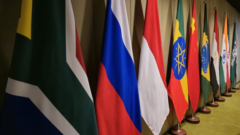 BRICS summit sidelines